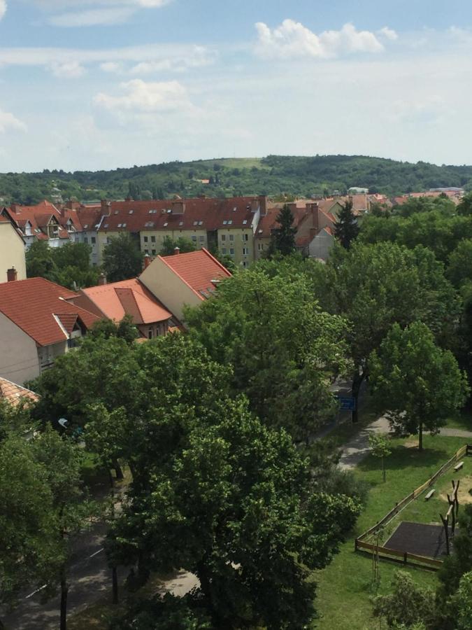 Ferienwohnung Deli Oldal Vendeghaz Erlau Exterior foto